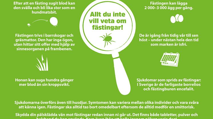De bästa tipsen för fästingsäsongen – 3 av 4 hund- och kattägare drabbas