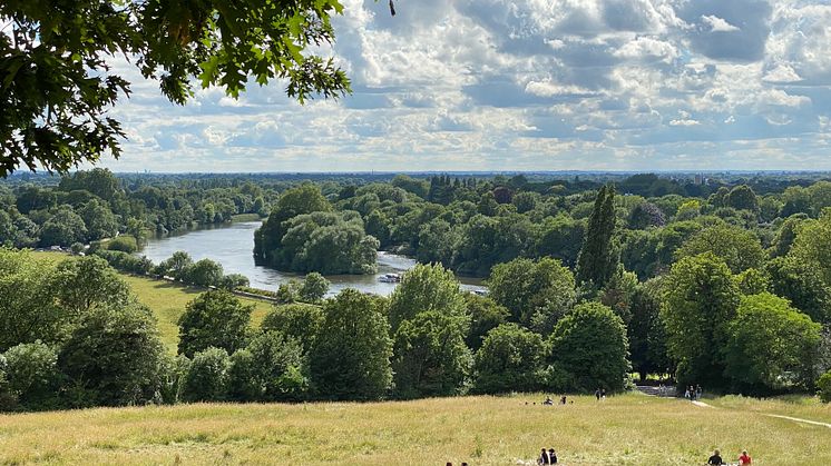 Parliamentary briefing highlights benefits of Green Blue Infrastructure