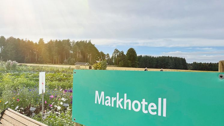 Under våren anlades ett så kallat markhotell i Öjebyn på Agro Park. Det är en, för Norrbotten, relativt ny metod att odla grönsaker och blommor i kommersiellt syfte.