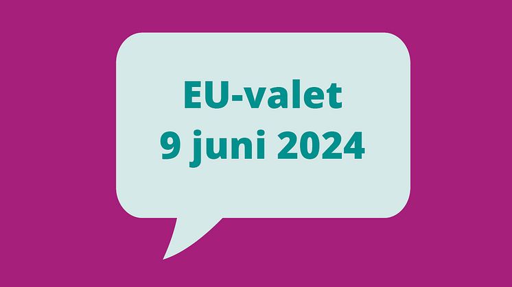 Nu startar förtidsröstningen till Europaparlamentet