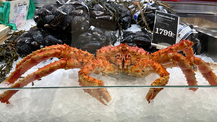 Photo: Dag Sørli, Norwegian Seafood Council