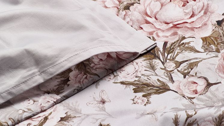 Paslakanset_Estella_closeup