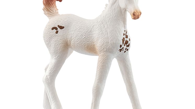 14896_Horse Club_Marwari Fohlen_(c)schleich®