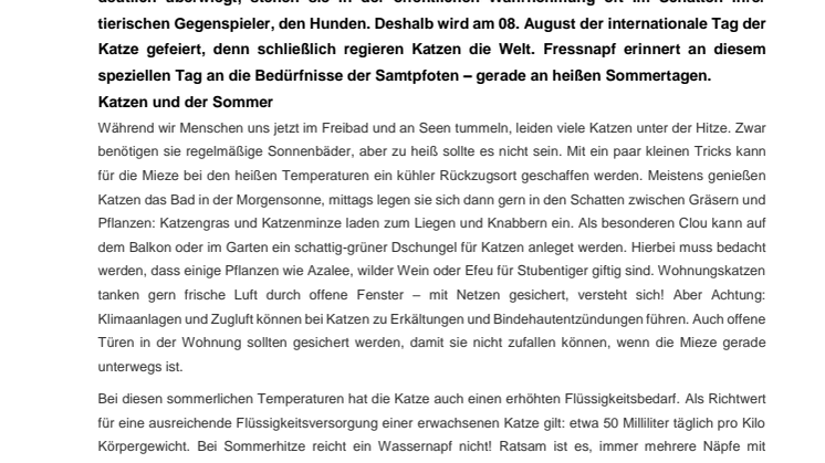 Ein Hoch auf die Katze – das beliebteste Haustier in Österreich