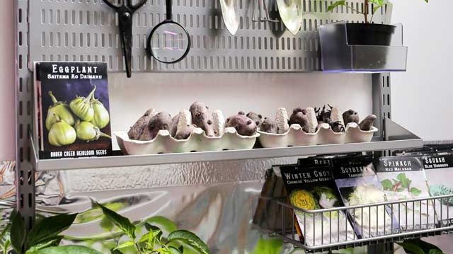 DK_Elfa_Garage_Storage_Interior_Click_in_system_Classic_2022_4_5812_640x853