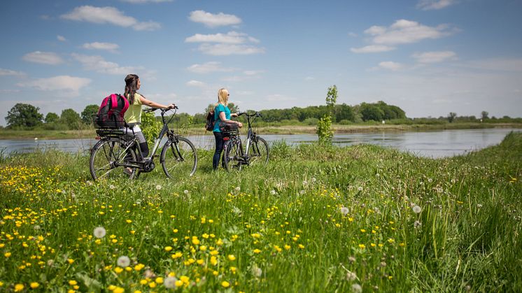 Die Weiten Brandenburgs genießen kann man bei einer schönen Radtour wie hier auf dem Oder-Neiße-Radweg. Foto: Florian Läufer.