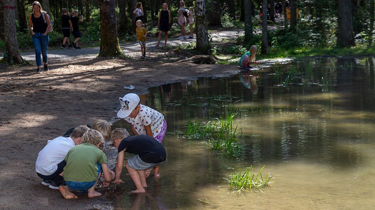 Hjärstaskogen ska bland annat få en groddamm liknande den i Varbergaskogen. Foto: Susanne Flinck
