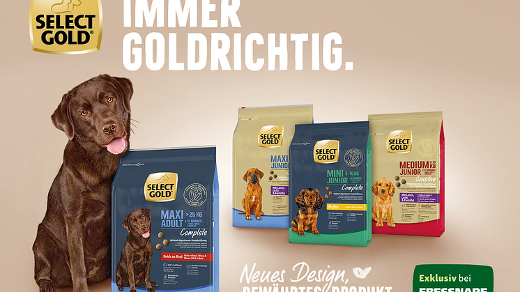 SG PN Bild 1
