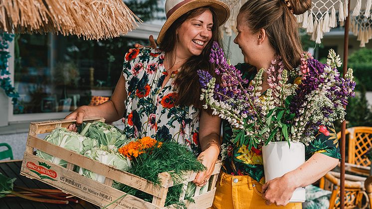 Njut av nyskördade läckerheter, härliga evenemang och goda drycker. Besök gårdsbutiker, restauranger, caféer och odlingar under Skördetid i Halland. Foto: Lisa Lindström
