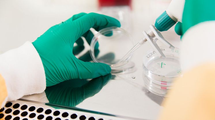 Biomedicinska analytikerprogrammet
