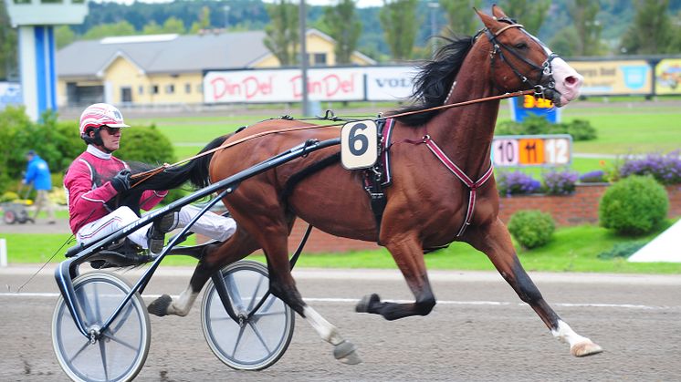 V75 i Norge med Unionskampen