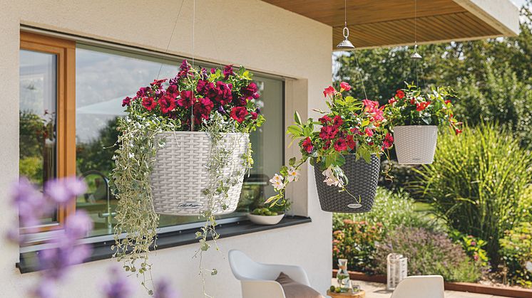 NIDO Cottage 35: Die große Hängeampel im Landhaus-Stil
