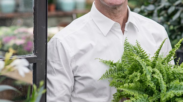 Mark Levengood tycker om ormbunkar 