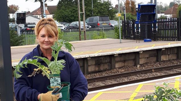 Potters Bar station planting