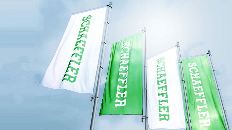 Schaeffler Flags