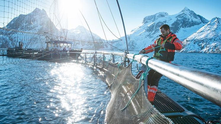 Aquakultur_Norwegen