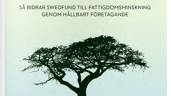 Swedfund nominerat till bästa IR-arbete