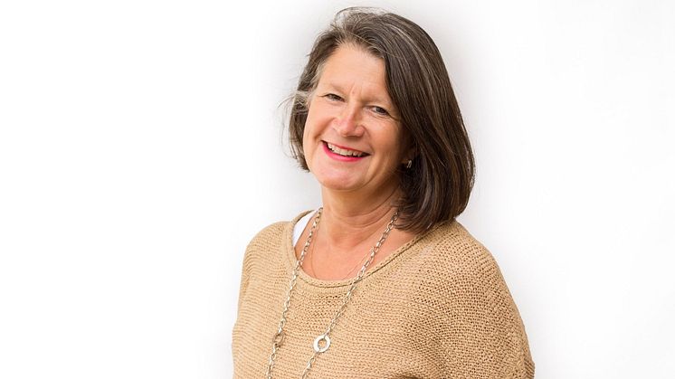 Birgitta Johansson, Erikshjälpen
