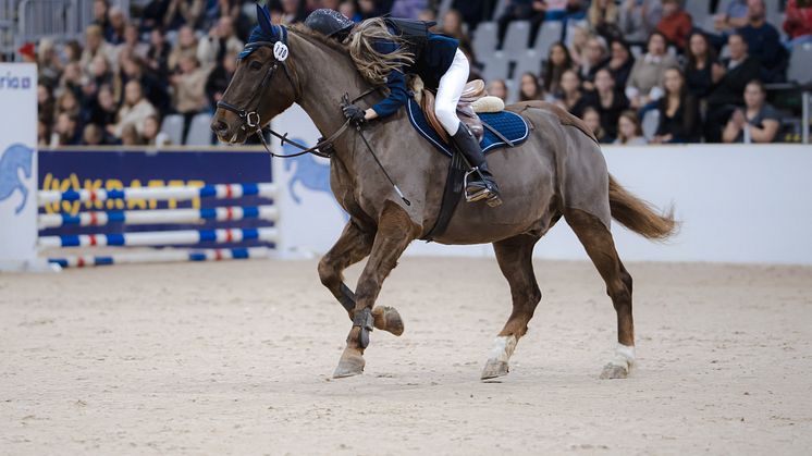 Segrare kat D Småland Ridskole Equitation Nova Vajaraca - Dente, Växjöortens Fältrittklubb.jpg