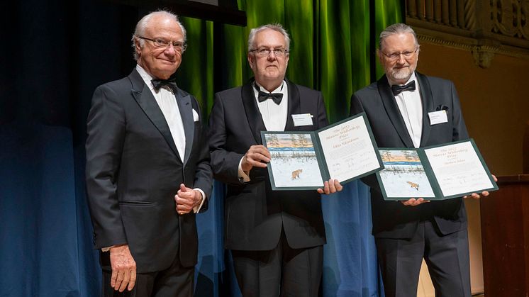 Professor Ilkka Kilpeläinen and Professor Herbert Sixta receives the 2022 Marcus Wallenberg Prize 