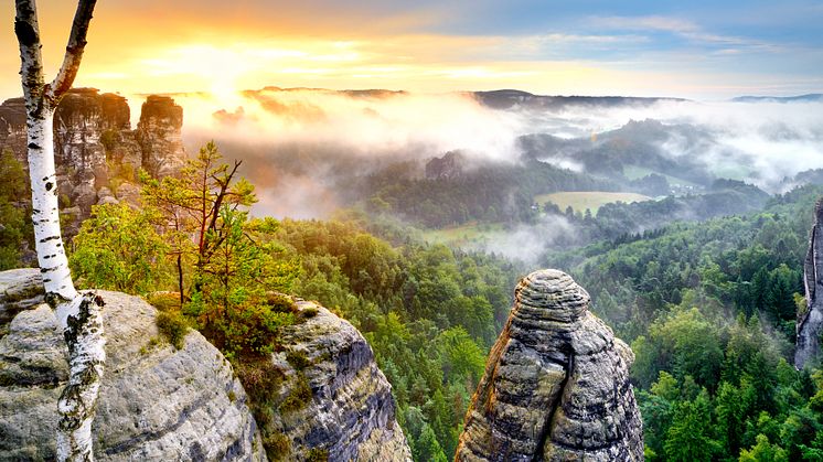 Sächsische Schweiz-Osterzgebirge_Sächsische_Schweiz_Der_Nationalpark_Osterzgebirge_bei_Sonnenaufgang