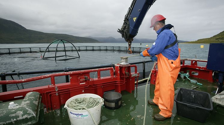 A new report on the effects from climate change and ocean acidification on Norwegian ocean ecosystems and industries concludes that industries and society need to consider change to ensure sustainable and viable ocean use.