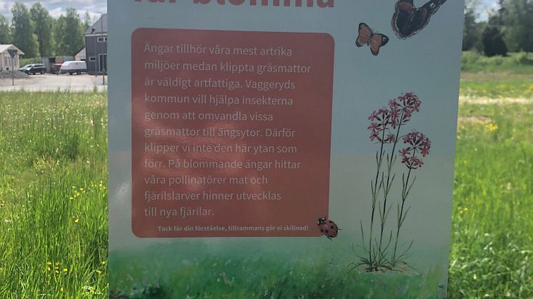 Gräsmattan får blomma