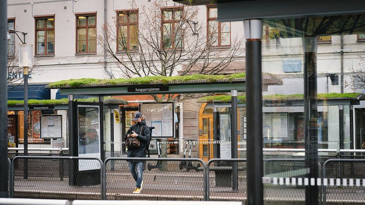 Välkommen på invigning av 100 nya grönområden i Göteborg