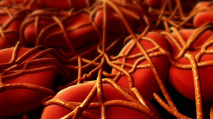 Bayer får positivt utlåtande från CHMP för utökad VTE-förebyggande behandling med rivaroxaban 10 mg