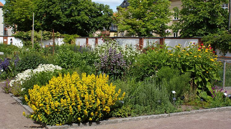 Arkivbild Västerås stad