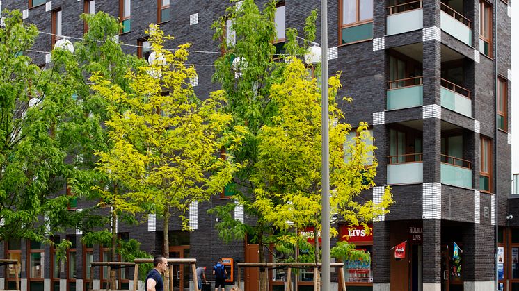 Holma torg, finalist till Stadsbyggnadspriset 2017