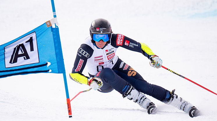 Ski Team Sweden Alpine bjuder in till pressträff inför damernas världscuptävlingar i Åre. Foto: Ski Team Sweden Alpine