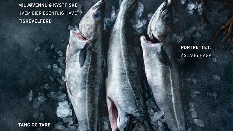 Vinterens utgave handler om Havet: Hvordan skal havressursene forvaltes i fremtiden? Foto: Hanne Stensvold