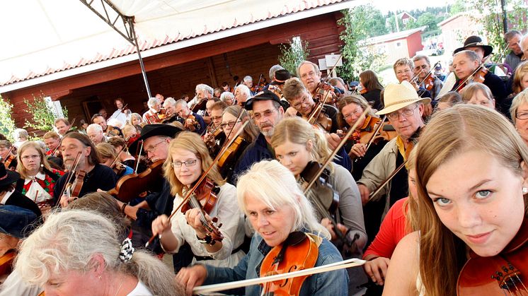 Bingsjöstämman Dalarna Foto Bingsjöstämman