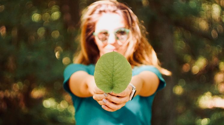 Universitäten und Studierende schließen sich zusammen für nachhaltige Entwicklungen. © Mert Guller, unsplash.com