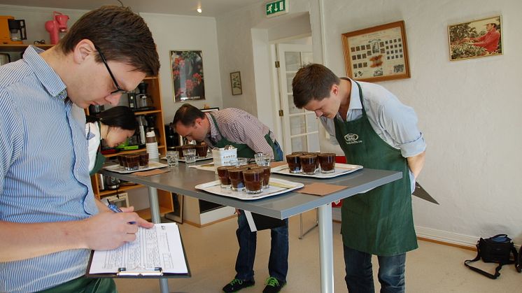Barista-verdensmester Tim Wendelboe er av deltakerne som gjennomgår ”Q-grader”-sertifisering - en internasjonal og vel anerkjent tittel blant de som jobber med kvalitetskaffe.