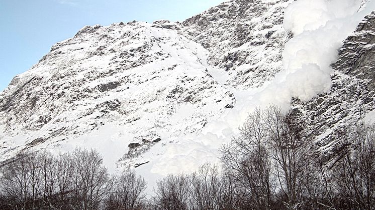 Testområdet