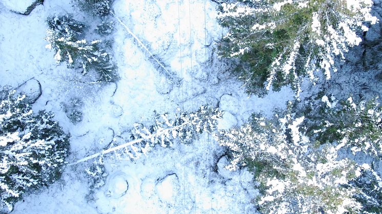 Arkivbild från tidigare snöfall. Foto: Linde energi