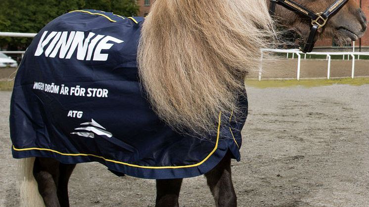 Mediefenomenet Vinnie, den lilla ponnyn i ATG-reklamen, kommer till EuroHorse