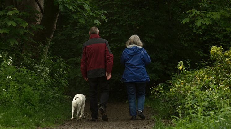 Familjens Jurist inleder samarbete med Nowo