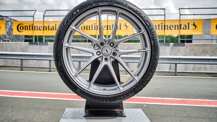 Conti 210805  _DSF0516.jpg