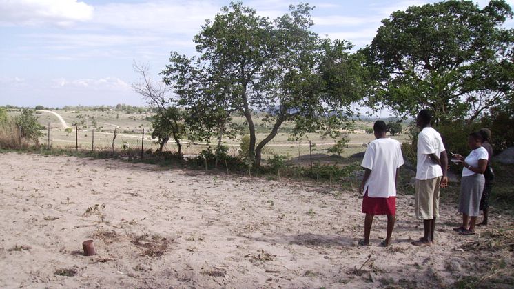 Torka i Zimbabwe