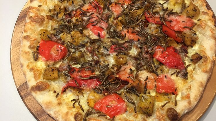 Pizza med melormer er servert! Insekttoppingen er sprø og proteinrik for den som tør, og kan også bli del av fremtidens studentmat.