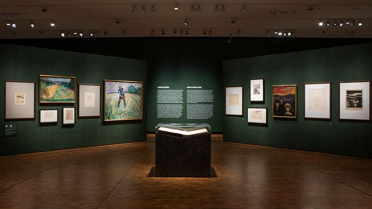 All is Life_installation image