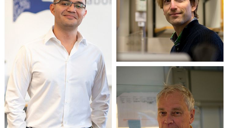 Max Ortiz Catalan Nils Norlin och Michael Olausson.jpeg