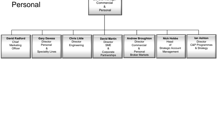 Allianz Commercial and Personal Management Structure