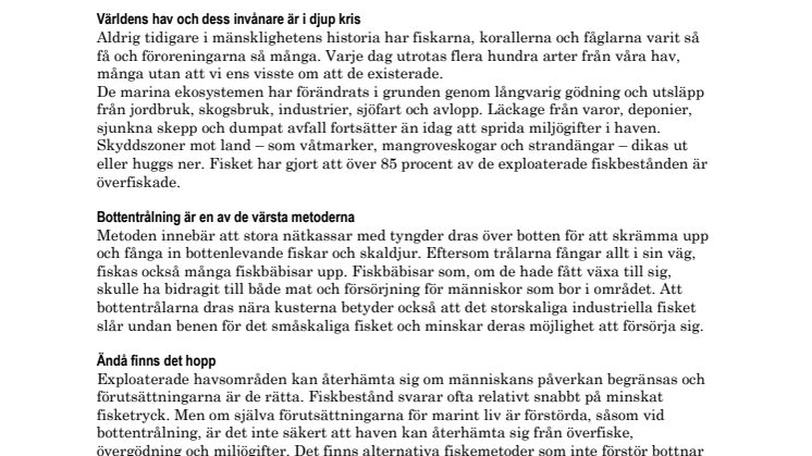 Stenungsundshem stödjer Naturkyddsföreningen för renare hav