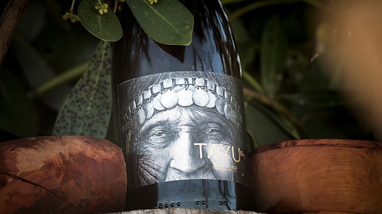 Vino Tayu Ceremonia Mapuche 028.jpg
