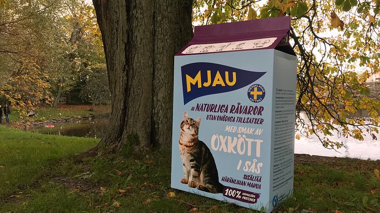 Mjaus insamlingstetra