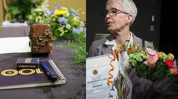 Barbro Malmer, ordförande HSB brf Bränneriet, tog emot årets hållbarhetspris på HSB Stockholms föreningsstämma. 